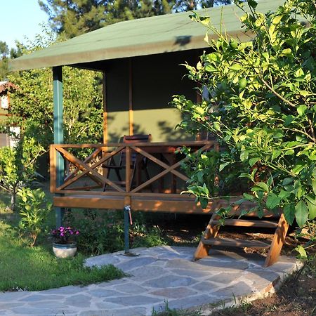 מלון Çıralı Hobbit Evi חדר תמונה